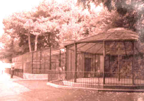 Nottingham Arboretum's Aviary